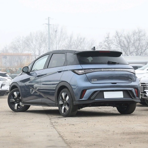 Affordable Mini Ev Dolphin