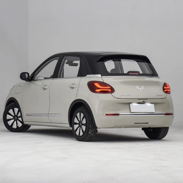 Small EV Car Price