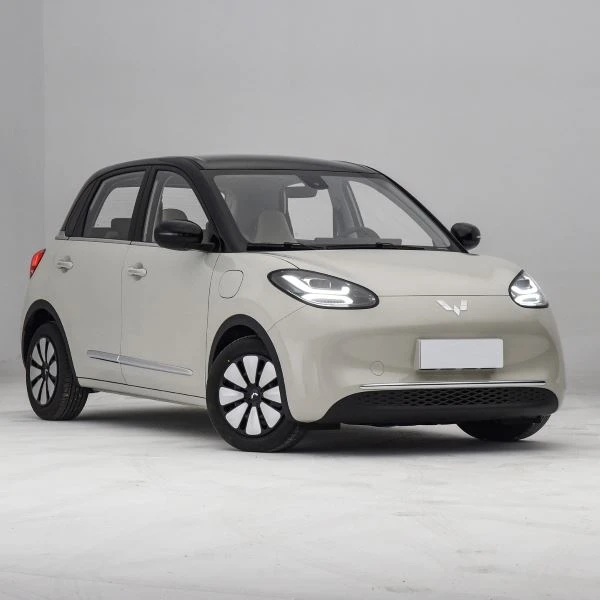Piccolo prezzo dell'auto EV
